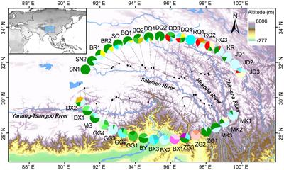 Phylogeographic analysis reveals extensive genetic variation of native grass Elymus nutans (Poaceae) on the Qinghai-Tibetan plateau